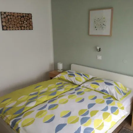 Apartma Irena 公寓 *