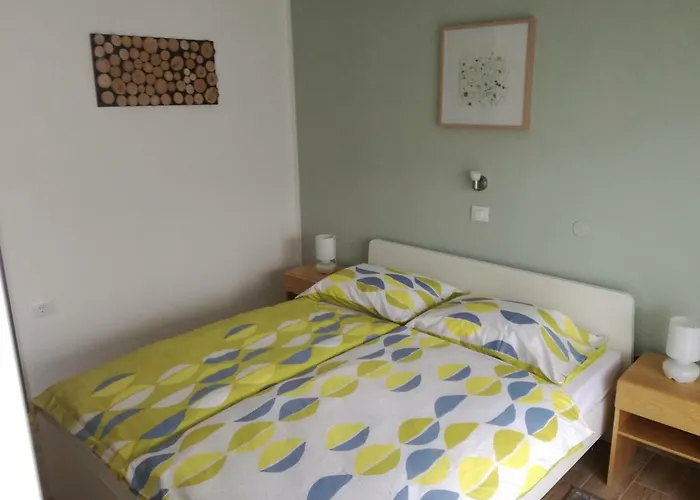 Apartma Irena 公寓 *